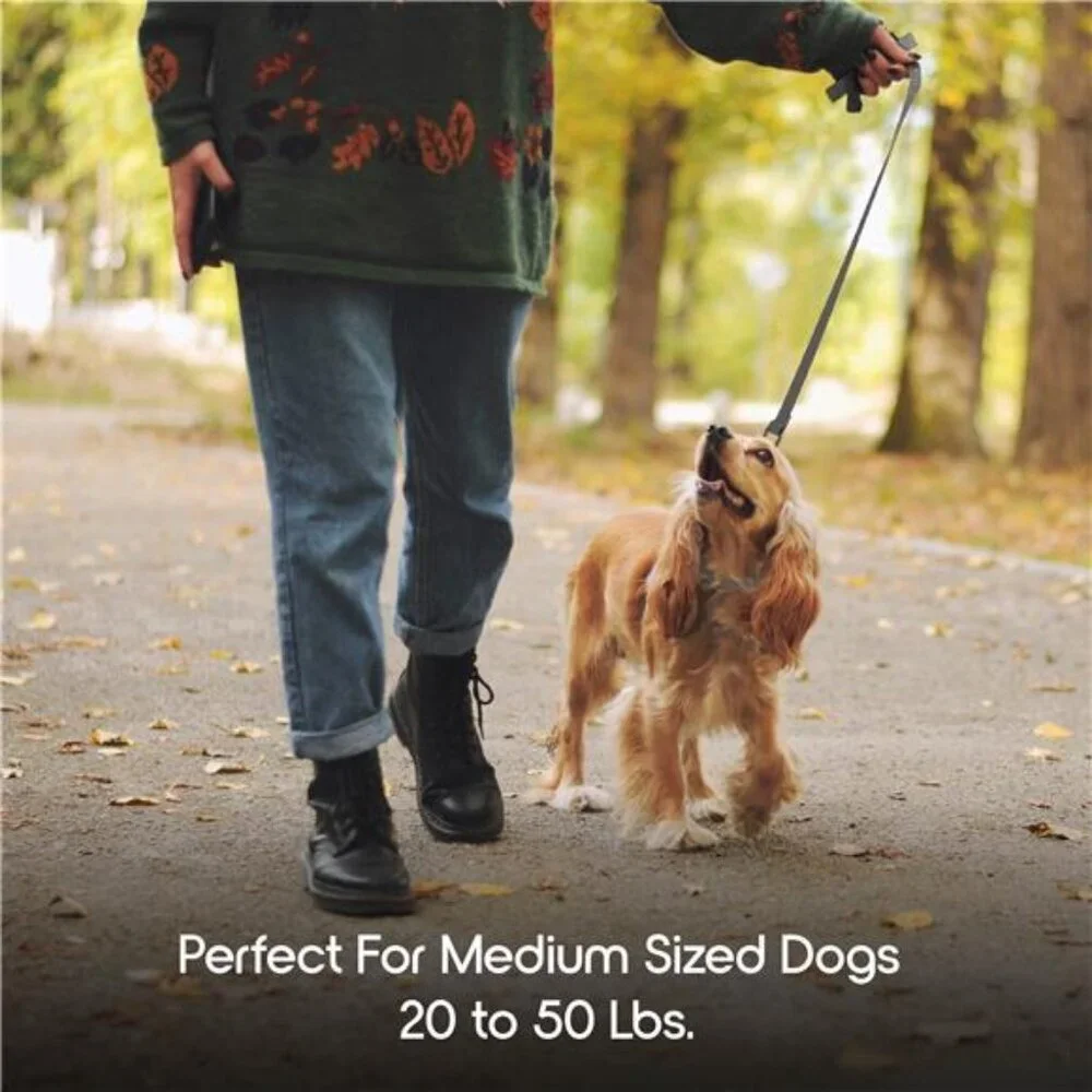 Nylon 5ft Anti-Shock Padded Dog Leash, Gray - For Medium Size Dogs